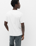 Pure Cotton V Neck T-Shirt