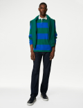 Regular Fit Pure Cotton Stripes Polo Collar Tshirt