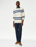 Regular Fit Pure Cotton Stripes Polo Collar Tshirt