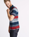 Pure Cotton Striped Polo Shirt