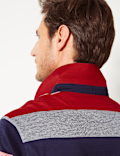 Pure Cotton Striped Polo Shirt