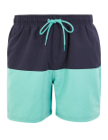 Quick Dry Colour Block Swim Shorts