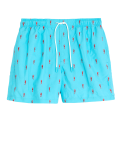Quick Dry Embroidered Swim Shorts