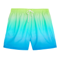 Quick Dry Ombre Swim Shorts