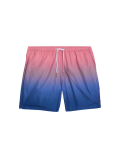 Quick Dry Ombre Swim Shorts