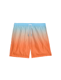 Quick Dry Ombre Swim Shorts