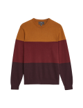 Pure Cotton Colorblocked Round Neck Jumper