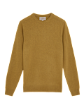 Pure Extra Fine Lambswool Crew Neck Jumper