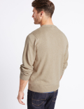 Pure Cotton V-Neck Jumper