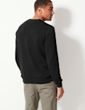 Pure Cotton V-Neck Jumper