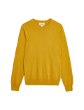 Pure Cotton Crew Neck Jumper