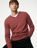 Pure Cotton V-Neck Jumper