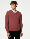 Pure Cotton V-Neck Jumper