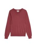 Pure Cotton V-Neck Jumper