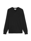 Pure Cotton V-Neck Jumper