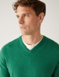 Pure Cotton V-Neck Jumper