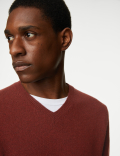 Pure Extra Fine Lambswool V-Neck Jumper