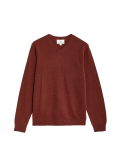 Pure Extra Fine Lambswool V-Neck Jumper