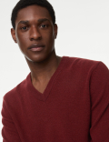 Pure Extra Fine Lamsbwool V-Neck Jumper