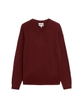 Pure Extra Fine Lamsbwool V-Neck Jumper