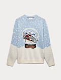 Pure Cotton Ski Snow Globe Christmas Jumper