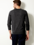 Pure Extra Fine Merino V-Neck Jumper