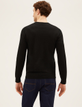 Pure Extra Fine Merino V-Neck Jumper
