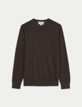 Pure Extra Fine Merino Wool Crew Neck Jumper