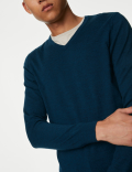 Pure Extra Fine Merino Wool V-Neck Jumper