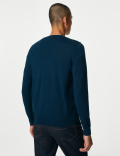 Pure Extra Fine Merino Wool V-Neck Jumper