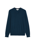 Pure Extra Fine Merino Wool V-Neck Jumper