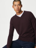 Pure Extra Fine Merino Wool V-Neck Jumper