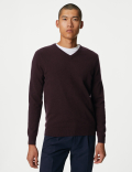 Pure Extra Fine Merino Wool V-Neck Jumper