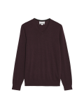 Pure Extra Fine Merino Wool V-Neck Jumper