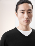 Pure Extra Fine Merino Wool V-Neck Jumper