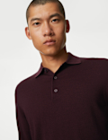 Pure Extra Fine Merino Wool Knitted Polo Shirt
