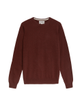 Pure Cashmere Crew Neck Jumper