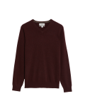 Pure Cashmere V-Neck Jumper