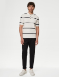 Cotton Rich Striped Knitted Polo Shirt