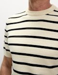 Cotton Rich Striped Knitted T-Shirt