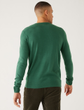 Dog Christmas Crew Neck Jumper