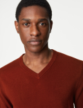 Pure Acrylic Plain V-Neck Jumper
