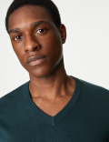 Pure Acrylic Plain V-Neck Jumper