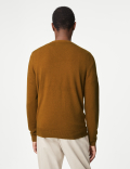Pure Acrylic Plain V-Neck Jumper