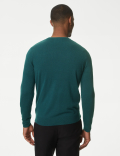 Pure Acrylic Stripes Round Neck Jumper
