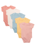 5pk Organic Cotton Plain Bodysuits (0-3 Yrs)