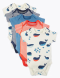 5 Pack Organic Cotton Nautical Bodysuits (6½lbs-3 Yrs)