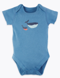 5 Pack Organic Cotton Nautical Bodysuits (6½lbs-3 Yrs)