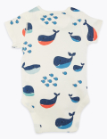 5 Pack Organic Cotton Nautical Bodysuits (6½lbs-3 Yrs)