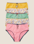 5pk Pure Cotton Roald Dahl™ & NHM™ Knickers